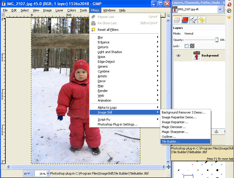 Run ImageSkill Tile Builder Run ImageSkill Tile Builder