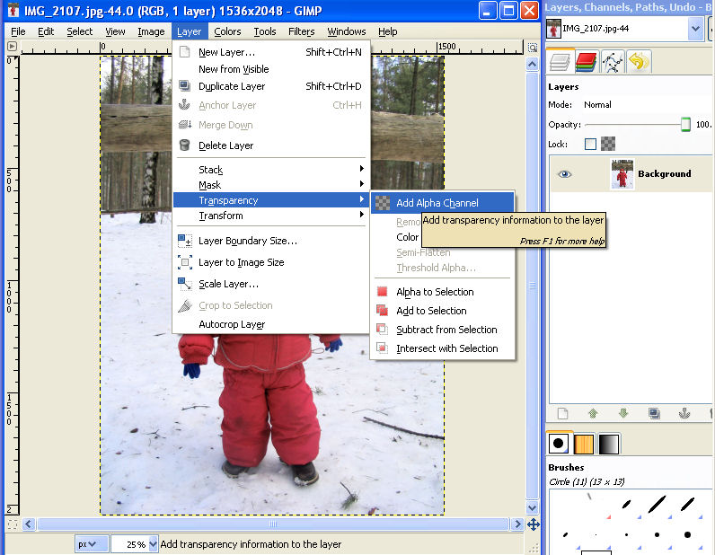 Add alpha channel to image Add alpha channel to image