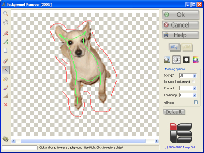 Choose Magic Wand tool for object extraction. Click to enlarge in new window.